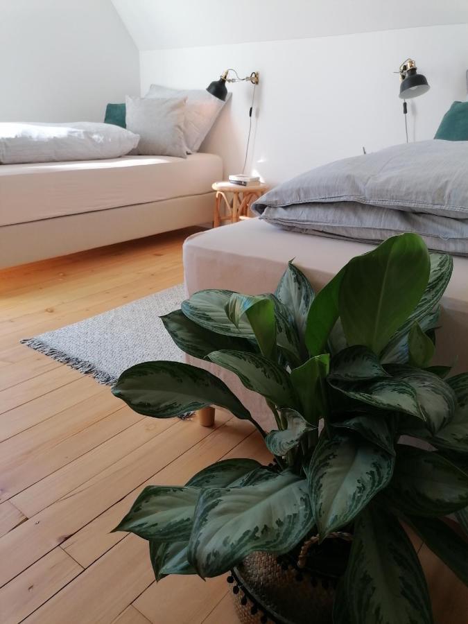 Waelder: Quartier Haus Im Glueck Villa Sankt Blasien Exteriör bild