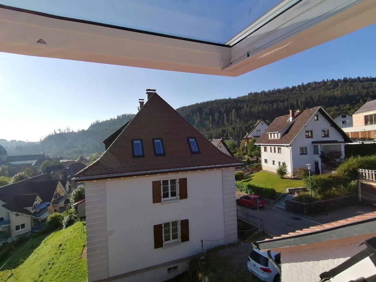 Waelder: Quartier Haus Im Glueck Villa Sankt Blasien Exteriör bild