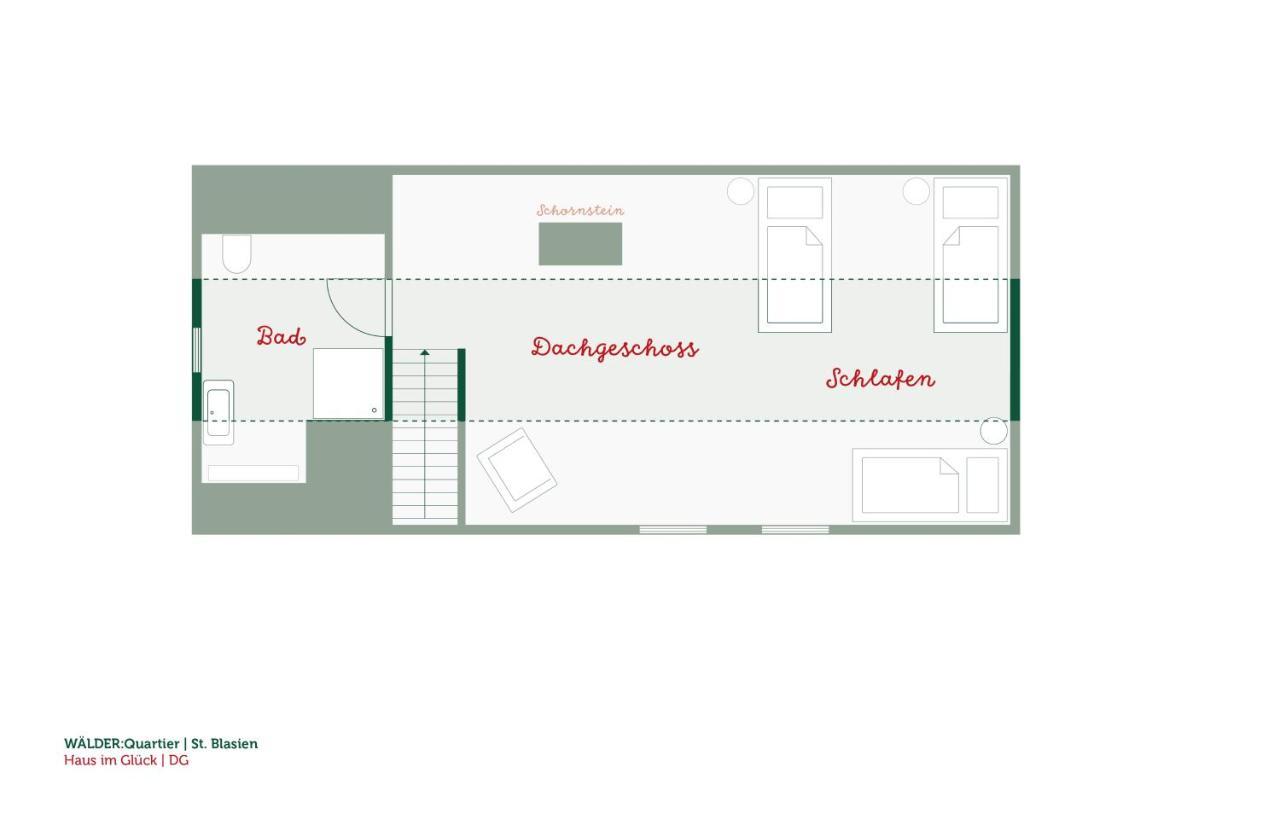 Waelder: Quartier Haus Im Glueck Villa Sankt Blasien Exteriör bild